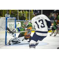 Florida Everblades goaltender Cam Johnson