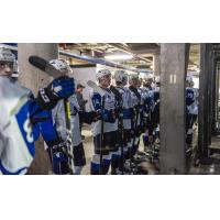 Saint John Sea Dogs lineup