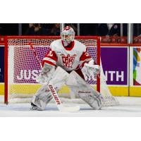 Grand Rapids Griffins goaltender Filip Larsson