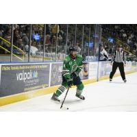 Florida Everblades defenseman Arvin Atwal