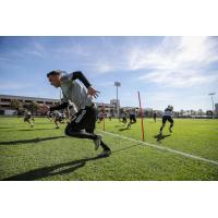 Seattle Sounders FC in training