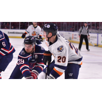 Greenville Swamp Rabbits forward Cedric Lacroix vs. the South Carolina Stingrays