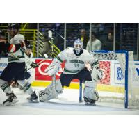 Florida Everblades goaltender Ken Appleby