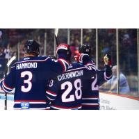 South Carolina Stingrays celebrate a goal