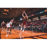 Canton Charge guard Matt Mooney shoots against the Windy City Bulls