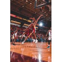 Canton Charge guard Alex Robinson against the Windy City Bulls