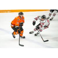 Danbury Hat Tricks forward Carter Shinkaruk vs. the Carolina Thunderbirds