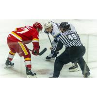 Jeffrey Durocher of the Saint John Sea Dogs (right) faces off with the Baie-Comeau Drakkar