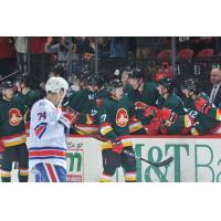 Binghamton Devils right wing Marian Studenic get high fives from his bench during a game against the Rochester Americans