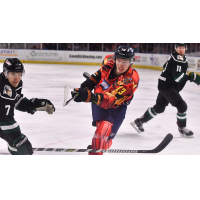 Greenville Swamp Rabbits forward Kamerin Nault (right) vs. the Utah Grizzlies
