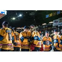 Springfield Falcons in their Ice-O-Topes jerseys