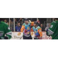 South Carolina Stingrays exchange congratulations in their SpongeBob SquarePants jerseys