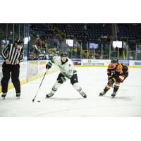 Florida Everblades defenseman Logan Roe