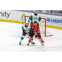 Texas Stars vs. the Rockford IceHogs
