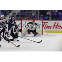 Vancouver Giants goaltender Trent Miner snags a puck vs. the Tri-City Americans