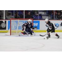 Vancouver Giants left wing Jackson Shepard (right) skates in against the Tri-City Americans