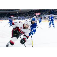 Belleville Senators vs. the Toronto Marlies