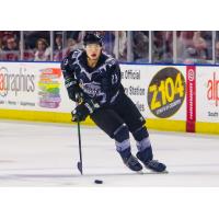 Utah Grizzlies forward Tim McGauley