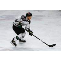Utah Grizzlies forward Tim McGauley
