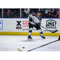 Utah Grizzlies forward Tim McGauley