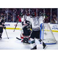 Utah Grizzlies forward Tim McGauley