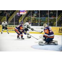 Florida Everblades vs. the Orlando Solar Bears