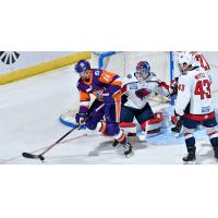 Orlando Solar Bears forward Chris LeBlanc vs. the South Carolina Stingrays