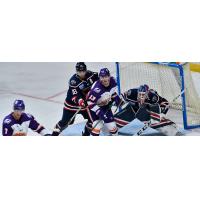 South Carolina Stingrays goaltender Logan Thompson vs. the Orlando Solar Bears