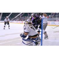 Adirondack Thunder try to score against the Newfoundland Growlers
