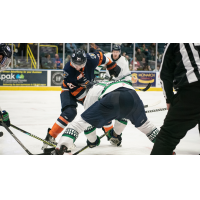 Greenville Swamp Rabbits defenseman Robert Powers faces off with the Florida Everblades