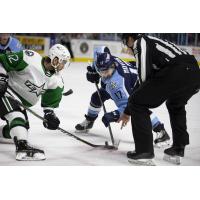 Texas Stars center Oula Palve vs. the Milwaukee Admirals