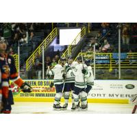 Florida Everblades celebrate a goal