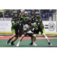 Saskatchewan Rush team up on the Colorado Mammoth