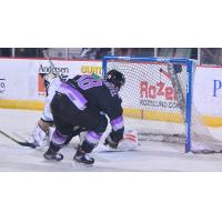 Casey Pierro-Zabotel of the Adirondack Thunder scores vs. the Newfoundland Growlers