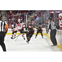 Cleveland Monsters left wing Jakob Lilja vs. the Binghamton Devils