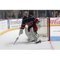 Macon Mayhem goaltender Hayden Stewart