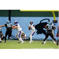 St. Louis BattleHawks quarterback Jordan Ta'amu looks to pass against the Dallas Renegades