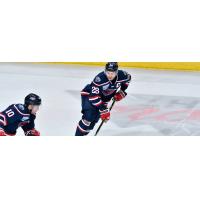 South Carolina Stingrays forwards Cole Ully and Andrew Cherniwchan (center)