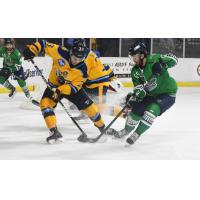 Atlanta Gladiators battle the Florida Everblades