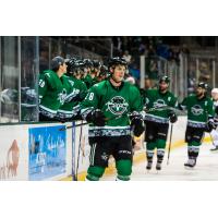 Texas Stars defenseman Taylor Fedun