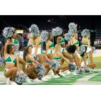 Dallas Sidekicks Dancers