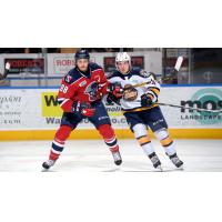 Kitchener Rangers centre Greg Meireles (left) vs. the Erie Otters