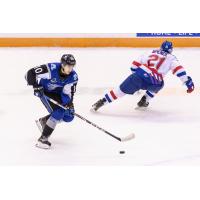 Saint John Sea Dogs left wing Charles Savoie vs. the Moncton Wildcats