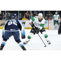 Texas Stars defenseman Dillon Heatherington vs. the Milwaukee Admirals