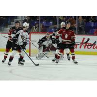 Vancouver Giants goaltender Trent Miner vs. the Red Deer Rebels