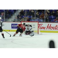 Vancouver Giants goaltender Trent Miner vs. the Red Deer Rebels