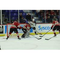 Vancouver Giants centre Milos Roman tests the Red Deer Rebels defense