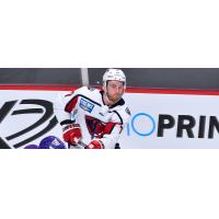 South Carolina Stingrays defenseman Ed Wittchow