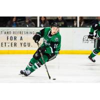 Texas Stars left wing Jason Robertson