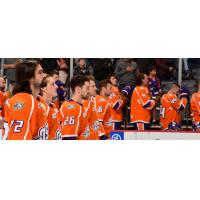 Orlando Solar Bears lineup